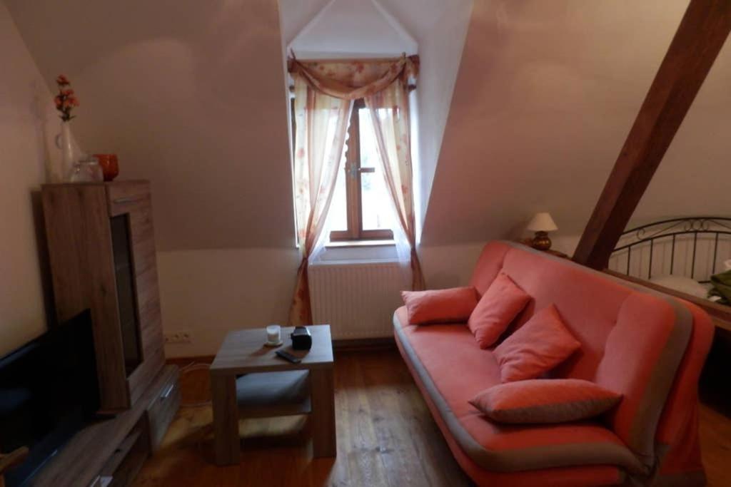 Zamecek Zdiky - Moderni Velky Apartman Bujanov Екстер'єр фото